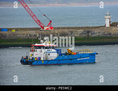 Le MCS Norther bleu tête de Aberdeen Harbour sur une tâche dans la mer du Nord. Banque D'Images