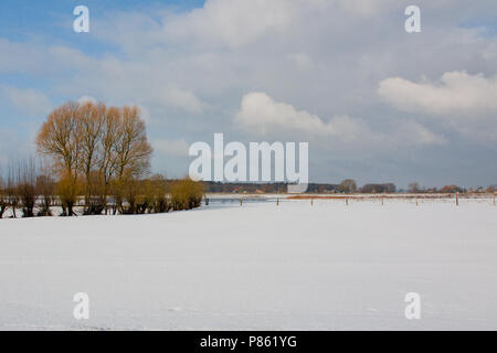 Den IJssel dans de winter ; l'IJssel en hiver Banque D'Images