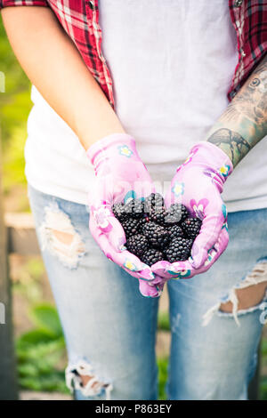 Jardinier Jeune femme tenant en mains les mûres dans le jardin. Banque D'Images