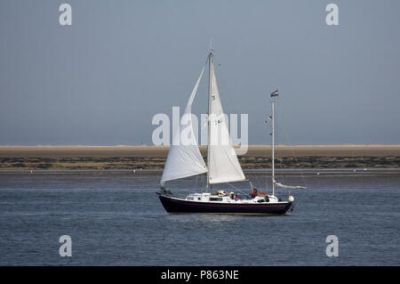 Zeilboot op de Wadden ; voilier sur la mer des Wadden Banque D'Images