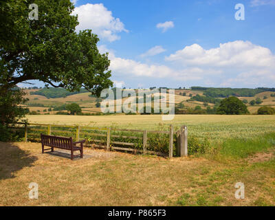 Un point d'observation avec un banc en bois comemorative avec vue sur colline agricole anglais paysage avec cultures forestiers et des haies en été Banque D'Images