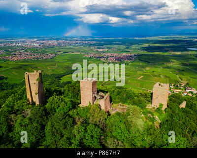 Ruines de trois châteaux près de Colmar, Alsace. Drone aérien vue. France Banque D'Images