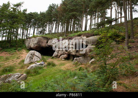 St Cuthbert's Cave Banque D'Images