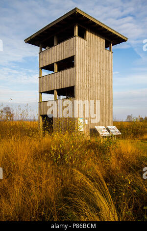 Hoogveen dans Diepholz Duitsland ; tourbe moor dans Diepholz Allemagne Banque D'Images