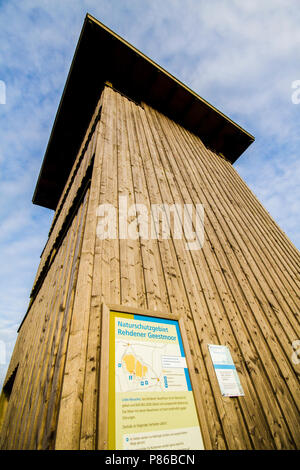 Hoogveen dans Diepholz Duitsland ; tourbe moor dans Diepholz Allemagne Banque D'Images