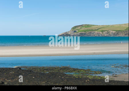 Vue sur la plage de Newport, Pembrokeshire, Pays de Galles Banque D'Images
