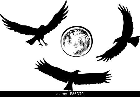 Silhouettes, Flying Eagle vector illustration Illustration de Vecteur