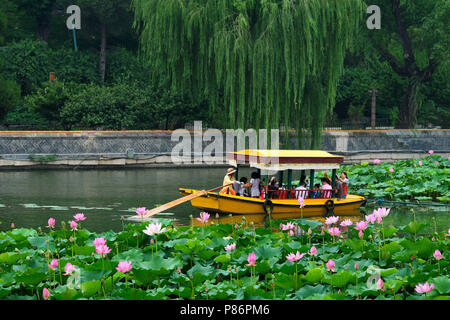 De Pékin, Pékin, Chine. 10 juillet, 2018. Beijing, Chine-touristes profiter des fleurs de lotus et de l'aviron au parc Beihai à Pékin. Crédit : SIPA Asie/ZUMA/Alamy Fil Live News Banque D'Images