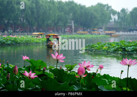 De Pékin, Pékin, Chine. 10 juillet, 2018. Beijing, Chine-touristes profiter des fleurs de lotus et de l'aviron au parc Beihai à Pékin. Crédit : SIPA Asie/ZUMA/Alamy Fil Live News Banque D'Images