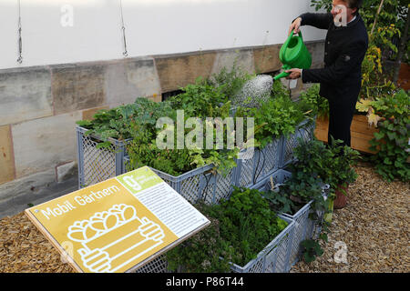 09 juillet 2018, l'Allemagne, Erlangen : Peter Proebstle, représentant et chef de division à la forêt l'Amt für Ernährung, Landwirtschaft und Forsten (AELF) (lit. Office de l'alimentation, l'Agriculture et de la forêt), les eaux les plantes à un spectacle de 'jardin jardinage urbain'. Le jardin mobile est présenté dans la grille en plastique boîtes. Voir les jardins pour 'Jardins urbains" sont prévues dans toute la Bavière à partir de 2019. Photo : Daniel Karmann/dpa Banque D'Images