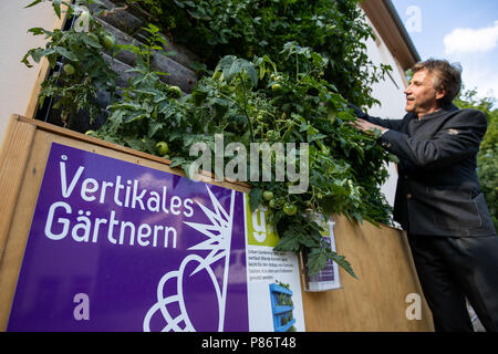 09 juillet 2018, l'Allemagne, Erlangen : Peter Proebstle, représentant et chef de division à la forêt l'Amt für Ernährung, Landwirtschaft und Forsten (AELF) (lit. Office de l'alimentation, l'Agriculture et de la forêt), les eaux les plantes à un spectacle de 'jardin jardinage urbain'. Voir les jardins pour 'Jardins urbains" sont prévues dans toute la Bavière à partir de 2019. Photo : Daniel Karmann/dpa Banque D'Images