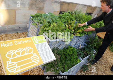 09 juillet 2018, l'Allemagne, Erlangen : Peter Proebstle, représentant et chef de division à la forêt l'Amt für Ernährung, Landwirtschaft und Forsten (AELF) (lit. Office de l'alimentation, l'Agriculture et de la forêt), vérifie les plantes dans un jardin pour montrer 'Jardins urbains'. Le jardin mobile est présenté dans la grille en plastique boîtes. Voir les jardins pour 'Jardins urbains" sont prévues dans toute la Bavière à partir de 2019. Photo : Daniel Karmann/dpa Banque D'Images
