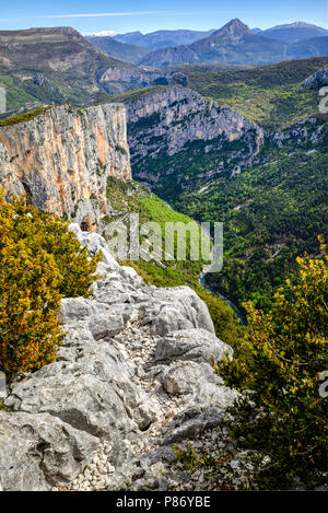 Parc du Verdon Rob Riemer Banque D'Images