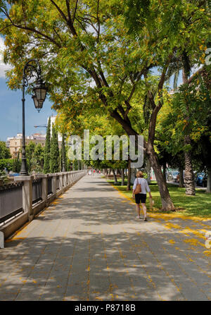 Le Passeig de Mallorca, dans le centre de Palma de Majorque, Banque D'Images