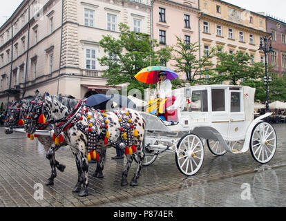 Le conducteur d'une voiture à cheval abris sous un parapluie coloré sur un jour pluvieux de Rynek Główny, Cracovie. Banque D'Images