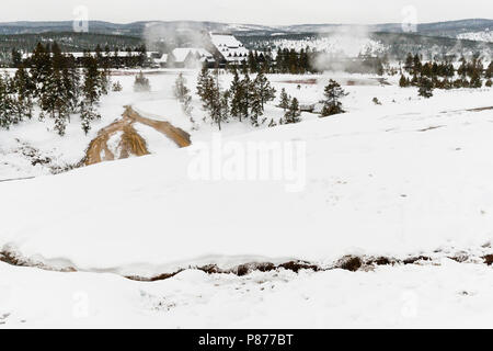 Sommaire des snowy Old Faithful, au Parc National de Yellowstone Banque D'Images