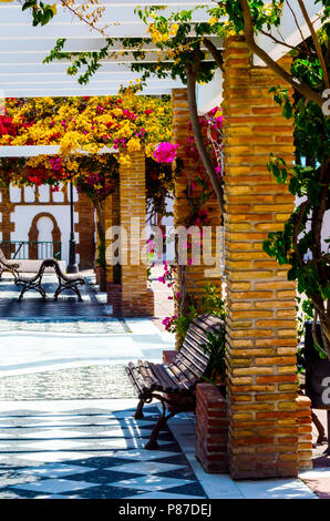 Gros plan sur une belle arbor couvertes de plantes grimpantes avec des fleurs colorées, vous détendre place, architecture Banque D'Images