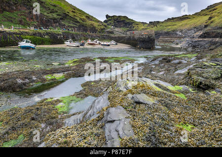 Boscastle Harbour, le théâtre d'inondations destructrices en 2004, reconstruit et maintenant une destination touristique prospère en Cornouailles du Nord. Banque D'Images