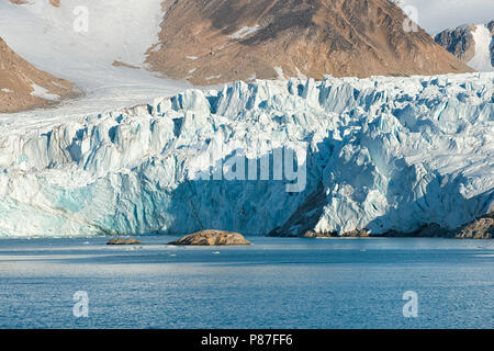 Smeerenburgfjord avec glacier Smeerenburgbreen, Svalbard, Norvège. Banque D'Images