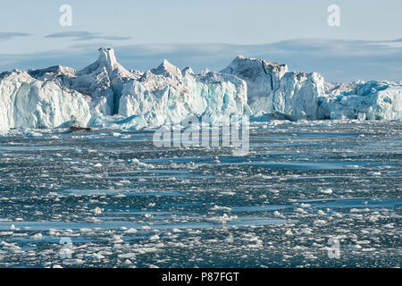 La glace dérivante couvre l'océan à côté de la calotte glaciaire arctique Austfonna, Norgaustlandet, archipel de Svalbard, Norvège Banque D'Images