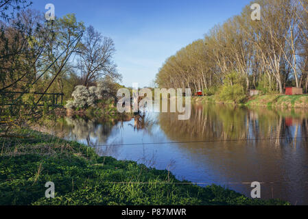 Tripoint de l'Autriche, la République tchèque et la Slovaquie sur la Thaya et de la rivière Morava, vue wrom banque autrichienne Banque D'Images