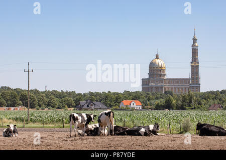 Basilique Notre Dame de lichen prises de distance. Vue panoramique sur la plus grande église catholique en Pologne. Banque D'Images