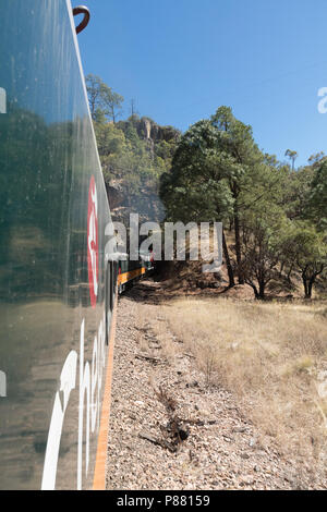 El Chepe, trains dans Copper Canyon, Mexique Banque D'Images