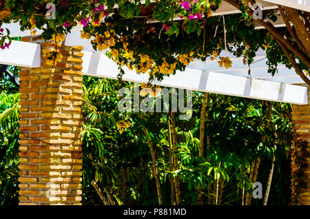 Gros plan sur une belle arbor couvertes de plantes grimpantes avec des fleurs colorées, vous détendre place, architecture Banque D'Images