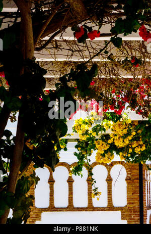 Gros plan sur une belle arbor couvertes de plantes grimpantes avec des fleurs colorées, vous détendre place, architecture Banque D'Images