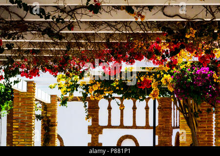 Gros plan sur une belle arbor couvertes de plantes grimpantes avec des fleurs colorées, vous détendre place, architecture Banque D'Images