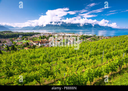 Vue panoramique de la ville de Montreux avec des Alpes suisses, le lac Léman et le vignoble de Lavaux, région, Canton de Vaud, Suisse, Europe. Banque D'Images