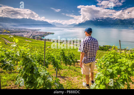 Vue panoramique de la ville de Montreux avec des Alpes suisses, le lac Léman et le vignoble de Lavaux, région, Canton de Vaud, Suisse, Europe. Banque D'Images