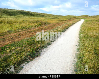 Op Wandelpad duinen porte Vlieland ; chemin de randonnée dans la région de dunes à Vlieland Banque D'Images