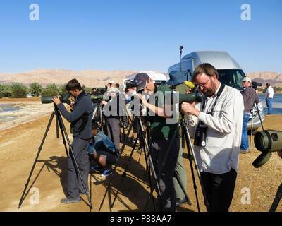 Groep vogelaars rencontré verrekijkers en stethoscopen dans woestijn ; Groupe d'observateurs d'oiseaux avec des jumelles et des stéthoscopes in desert Banque D'Images