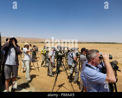 Groep vogelaars rencontré verrekijkers en stethoscopen dans woestijn ; Groupe d'observateurs d'oiseaux avec des jumelles et des stéthoscopes in desert Banque D'Images