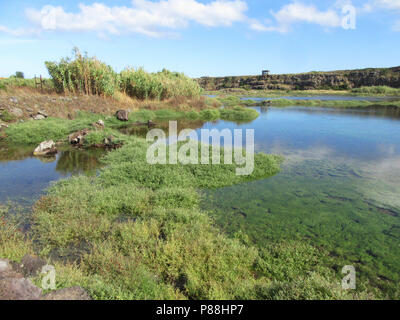 Cabo de Praia quarry, Terceira, Açores Banque D'Images