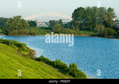 Waalbrug à Ooijpolder au printemps avec de l'eau en premier plan Banque D'Images