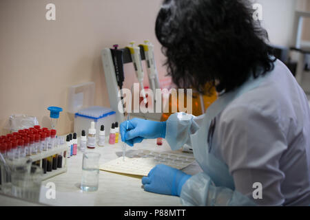 Biélorussie, Minsk, 24 avril 2018. La gare de transfusion sanguine.test.Examen microbiologique du sang Banque D'Images