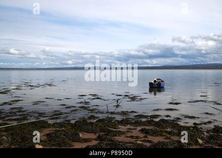 Bleu bateau attaché sur le Moray Firth à Avoch, Black Isle. Banque D'Images