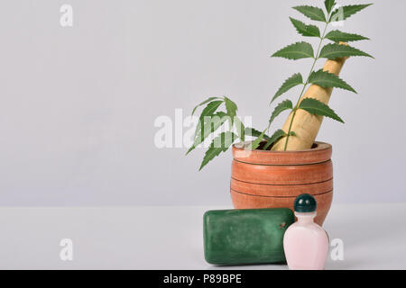 Ayurveda savon ou savon de neem huile de neem ou réalisés dans d'Azadirachta indica sur fond gris. Banque D'Images