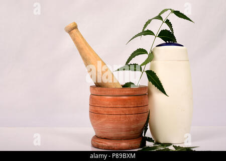 Ayurveda savon ou savon de neem huile de neem ou réalisés dans d'Azadirachta indica sur fond gris. Banque D'Images