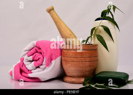 Ayurveda savon ou savon de neem huile de neem ou réalisés dans d'Azadirachta indica sur fond gris. Banque D'Images