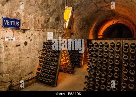 FRANCE - MARNE (51) - THE RUINART CHAMPAGNE CELLARS (LVMH Stock Photo -  Alamy