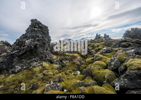 Champ de lave couvert de mousse, pierre de lave, la lave du volcan sur le terrain Kothraunskula, Péninsule de Snæfellsnes, à l'ouest de l'Islande, Islande Banque D'Images