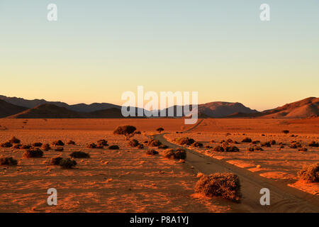 Piste de sable à travers le désert de sable, Tiras mountains à l'horizon au coucher du soleil, la Namibie Banque D'Images