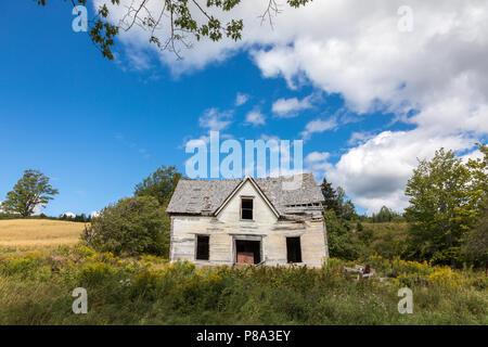 Maison à l'abandon au Nouveau-Brunswick, Canada. Vue avant avec prairie envahie et ciel d'été. Banque D'Images