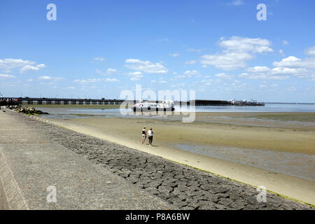 Ryde, île de Wight, au Royaume-Uni. 22 juin, 2018. Les vacanciers l'aéroglisseur wartch ferry arrivent à marée basse en face de la jetée de Ryde, sur l'île de Wight Banque D'Images