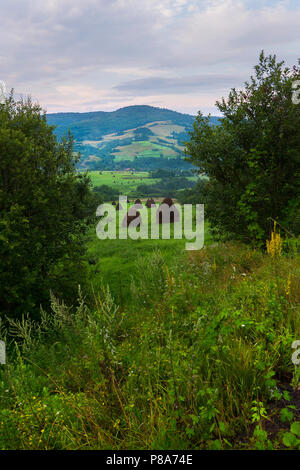 Pré Vert parmi les arbres avec des meules sur la montagne et dans le contexte de l'ciel nuageux. pour se reposer et voyage . Pour votre des Banque D'Images