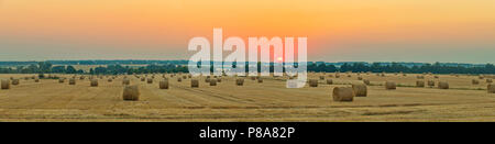 Champ de blé avec botte de paille après la récolte sous le soleil de l'ouest . Pour votre conception Banque D'Images