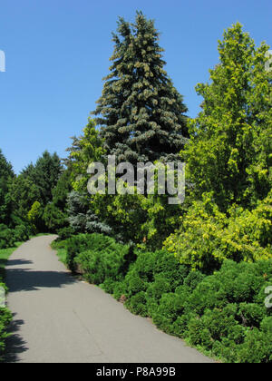 Propre et bien entretenu dans le parc avec allée croissant sur chaque côté végétation et arbres . Pour votre conception Banque D'Images